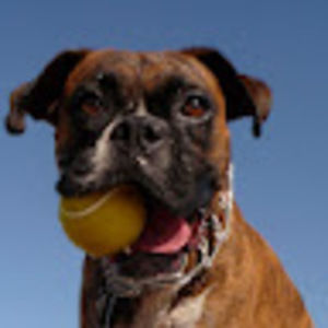 Meet your Posher, Greg